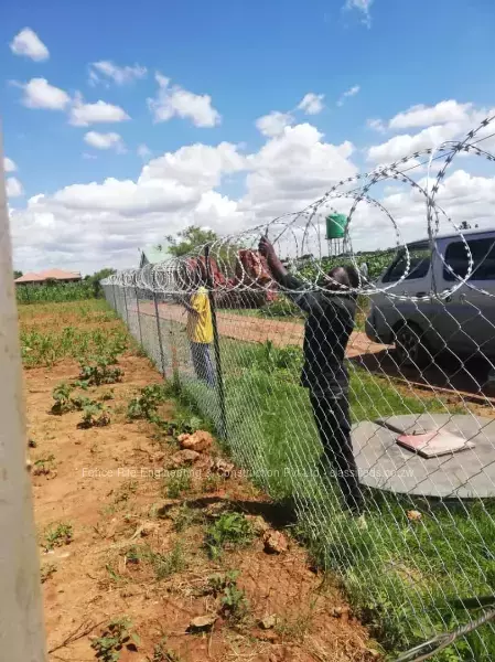 Diamond Mesh Fence With Razor Wire