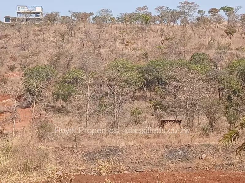 Gletwin Park - Stands & Residential Land