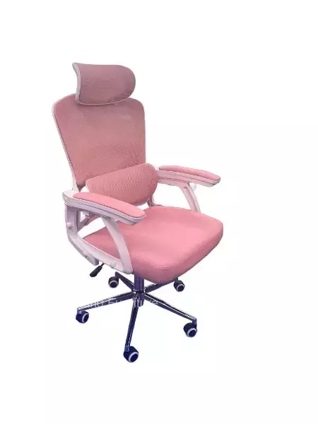 Ergonomic Chairs