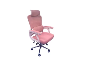 Ergonomic Chairs