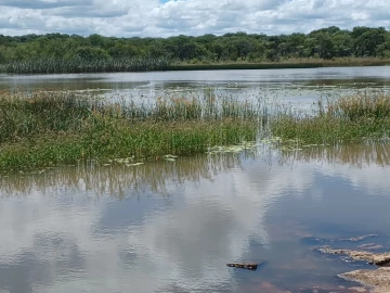 Gweru East - Farm & Agricultural Land