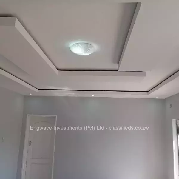 Ceiling Services