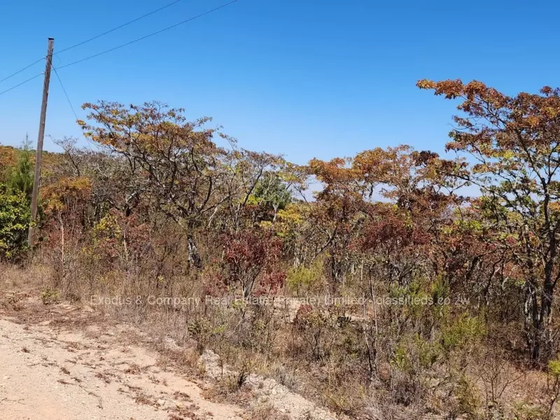 Nyanga - Farm & Agricultural Land