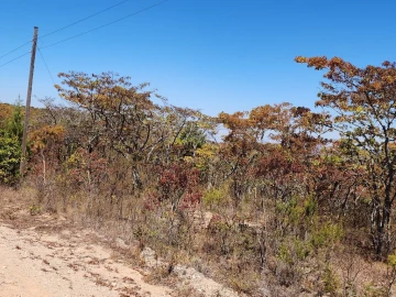 Nyanga - Farm & Agricultural Land