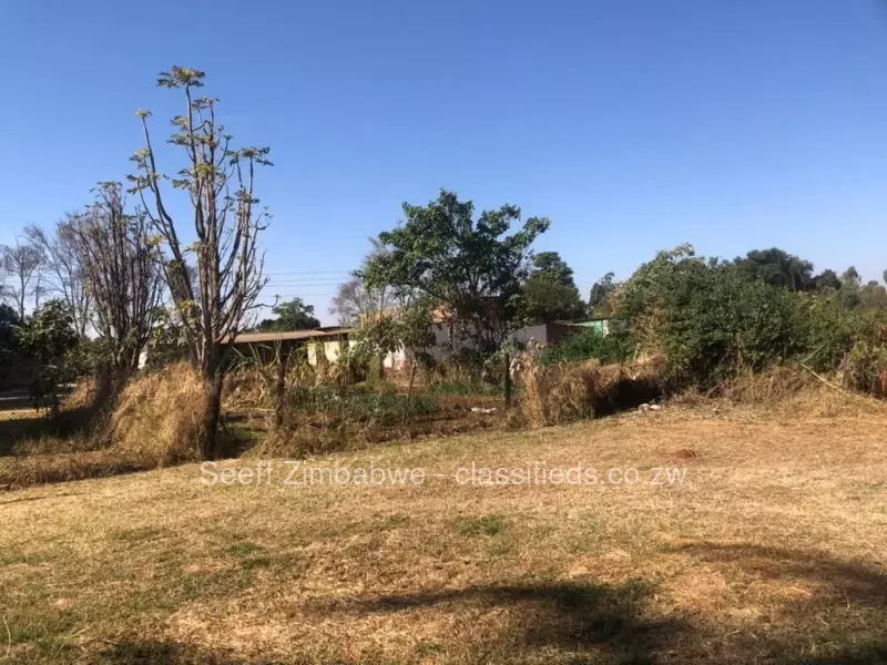 Mt Hampden - Stands & Residential Land