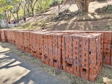 Palletized Common Bricks