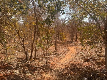 Victoria Falls - Stands & Residential Land