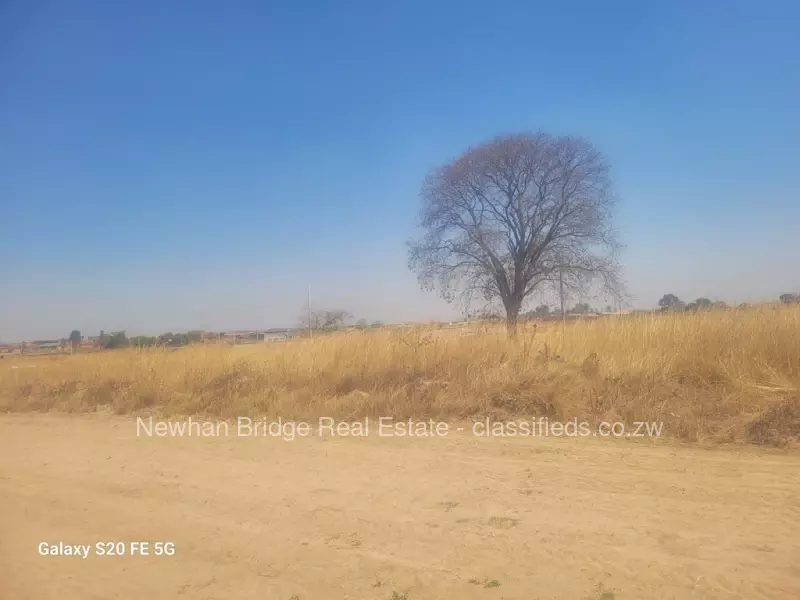 Hatfield - Stands & Residential Land