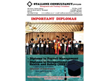 Professional Business Diplomas on Offer