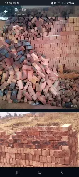 Semi Common Bricks