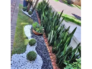 Kikuyu and Durban instant lawn,Rockery, Paving, swimming pool cleaning