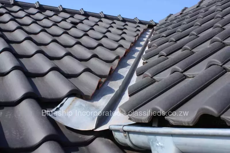 Roof & Gutter Leaks Repairs