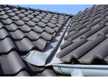 Roof & Gutter Leaks Repairs