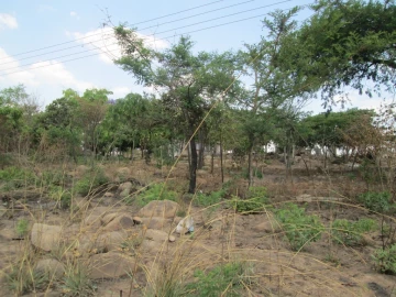 St. Martins - Stands & Residential Land