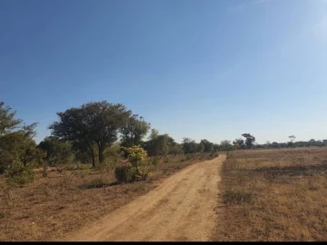 Chegutu - Farm & Agricultural Land