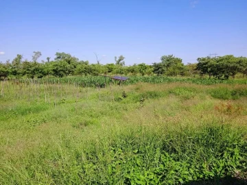 Kadoma - Farm & Agricultural Land