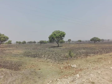 Ruwa - Farm & Agricultural Land