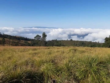 Vumba - Stands & Residential Land