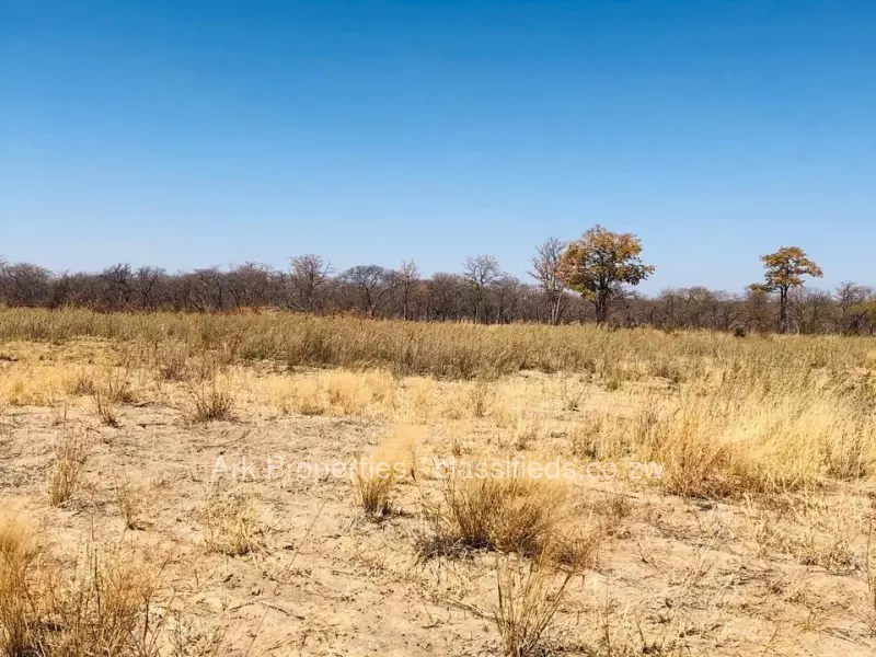 Mhondoro Ngezi - Farm & Agricultural Land