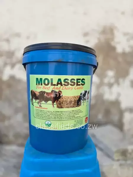 MOLASSES 20LT