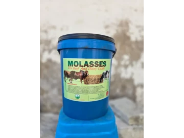 MOLASSES 20LT