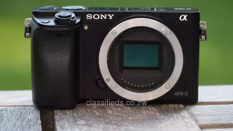 Sony a6000 body