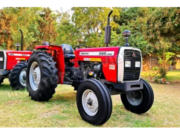 Massive MF 360 2024