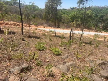 Glen Lorne - Stands & Residential Land