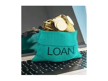 Loans