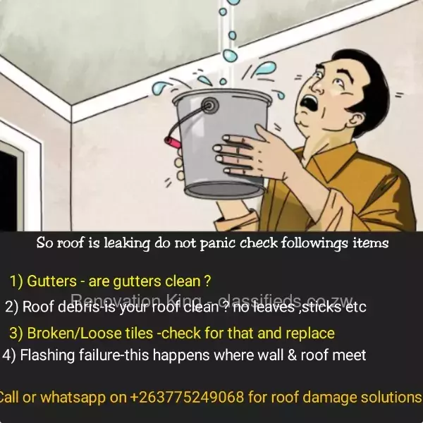 Roof, gutter cleaning and repairs