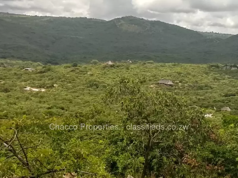 Nyanga - Farm & Agricultural Land