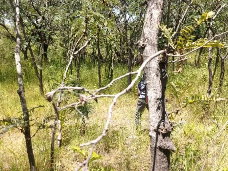 Mazowe - Farm & Agricultural Land