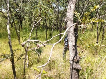 Mazowe - Farm & Agricultural Land