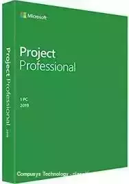 Microsoft Project 2019