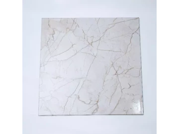 Floor tile glazed finish 40X40