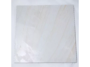 Floor Tile Porcelain Glazed Finish 600x600 mm