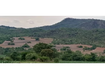 Bindura - Farm & Agricultural Land